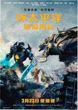 龙猫